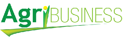 We design the future.